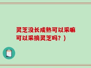 灵芝没长成熟可以采嘛可以采摘灵芝吗？)