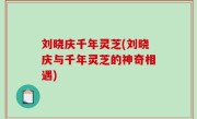 刘晓庆千年灵芝(刘晓庆与千年灵芝的神奇相遇)