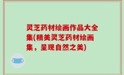 灵芝药材绘画作品大全集(精美灵芝药材绘画集，呈现自然之美)