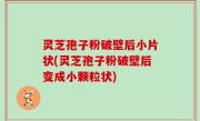 灵芝孢子粉破壁后小片状(灵芝孢子粉破壁后变成小颗粒状)