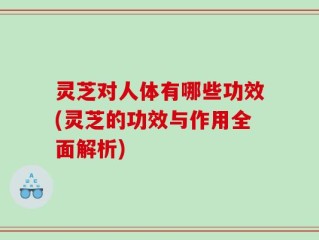 灵芝对人体有哪些功效(灵芝的功效与作用全面解析)