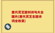 唐代灵芝题材诗句大全图片(唐代灵芝主题诗词全收录)