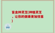 盲盒种灵芝(种植灵芝，让你的健康更加惊喜)