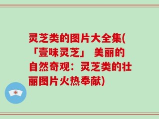 灵芝类的图片大全集(「壹味灵芝」 美丽的自然奇观：灵芝类的壮丽图片火热奉献)