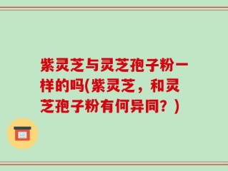 紫灵芝与灵芝孢子粉一样的吗(紫灵芝，和灵芝孢子粉有何异同？)