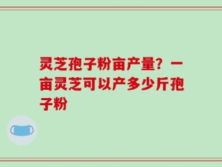 灵芝孢子粉亩产量？一亩灵芝可以产多少斤孢子粉