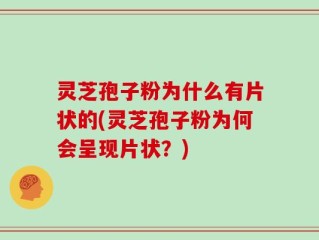 灵芝孢子粉为什么有片状的(灵芝孢子粉为何会呈现片状？)