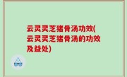 云灵灵芝猪骨汤功效(云灵灵芝猪骨汤的功效及益处)