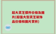 超大灵芝摆件价格及图片(超值大型灵芝装饰品价格和图片赏析)