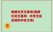 西藏光灵芝基地(西藏光灵芝基地：珍贵芝菇资源的丰收之地)