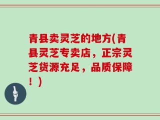 青县卖灵芝的地方(青县灵芝专卖店，正宗灵芝货源充足，品质保障！)