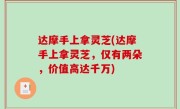 达摩手上拿灵芝(达摩手上拿灵芝，仅有两朵，价值高达千万)