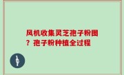 风机收集灵芝孢子粉图？孢子粉种植全过程
