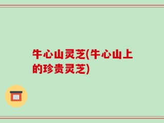牛心山灵芝(牛心山上的珍贵灵芝)