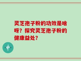 灵芝孢子粉的功效是啥呀？探究灵芝孢子粉的健康益处？