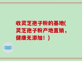 收灵芝孢子粉的基地(灵芝孢子粉产地直销，健康无添加！)