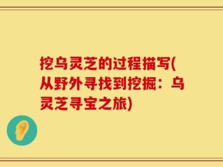 挖乌灵芝的过程描写(从野外寻找到挖掘：乌灵芝寻宝之旅)