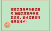 破壁灵芝孢子粉瓶装图片(破壁灵芝孢子粉瓶装实拍，解析灵芝高科技萃取技术)