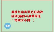 桑枝与桑黄灵芝的功效区别(桑枝与桑黄灵芝：功效大不同！)