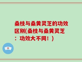 桑枝与桑黄灵芝的功效区别(桑枝与桑黄灵芝：功效大不同！)