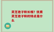 灵芝孢子粉长相？优质灵芝孢子粉的特点是什么