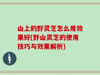 山上的野灵芝怎么用效果好(野山灵芝的使用技巧与效果解析)