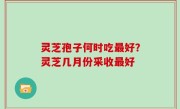 灵芝孢子何时吃最好？灵芝几月份采收最好