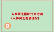 人参灵芝搭配什么泡酒(人参灵芝泡酒佳配)