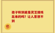孢子粉到底是灵芝提炼出来的吗?让人意想不到