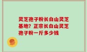 灵芝孢子粉长白山灵芝基地？正宗长白山灵芝孢子粉一斤多少钱