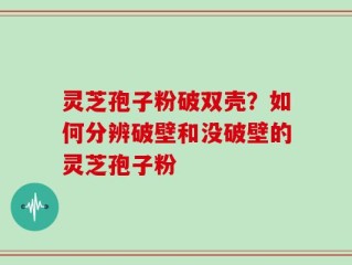 灵芝孢子粉破双壳？如何分辨破壁和没破壁的灵芝孢子粉