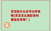 灵芝配什么吃可以养胃呢(灵芝怎么搭配食材最适合养胃？)