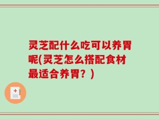 灵芝配什么吃可以养胃呢(灵芝怎么搭配食材最适合养胃？)