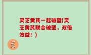灵芝黄芪一起破壁(灵芝黄芪联合破壁，双倍效益！)