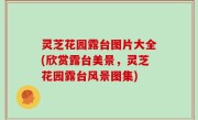 灵芝花园露台图片大全(欣赏露台美景，灵芝花园露台风景图集)
