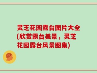 灵芝花园露台图片大全(欣赏露台美景，灵芝花园露台风景图集)