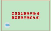 灵芝怎么取孢子粉(提取灵芝孢子粉的方法)