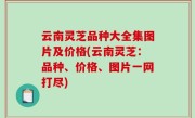 云南灵芝品种大全集图片及价格(云南灵芝：品种、价格、图片一网打尽)