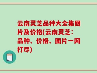 云南灵芝品种大全集图片及价格(云南灵芝：品种、价格、图片一网打尽)