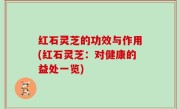 红石灵芝的功效与作用(红石灵芝：对健康的益处一览)