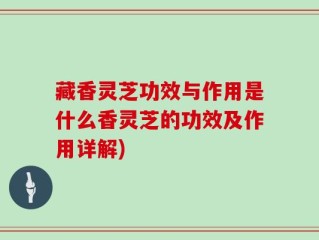 藏香灵芝功效与作用是什么香灵芝的功效及作用详解)