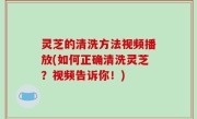 灵芝的清洗方法视频播放(如何正确清洗灵芝？视频告诉你！)