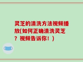 灵芝的清洗方法视频播放(如何正确清洗灵芝？视频告诉你！)