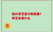 绍兴灵芝孢子粉胶囊？纯芝谷是什么