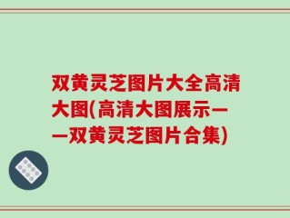 双黄灵芝图片大全高清大图(高清大图展示——双黄灵芝图片合集)
