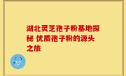 湖北灵芝孢子粉基地探秘 优质孢子粉的源头之旅