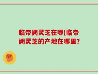 临帝阙灵芝在哪(临帝阙灵芝的产地在哪里？