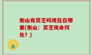 衡山有灵芝吗现在在哪里(衡山：灵芝现身何处？)