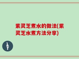 紫灵芝煮水的做法(紫灵芝水煮方法分享)