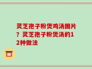 灵芝孢子粉煲鸡汤图片？灵芝孢子粉煲汤的12种做法